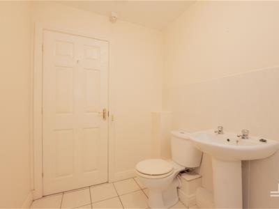 Picture 29